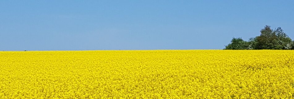 Eine einfache Übung zur Achtsamkeit mit Geräuschen, um bewusst zu bleiben